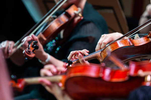 Person-holding-violin-in-hand